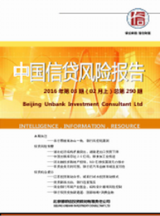 中国信贷风险报告