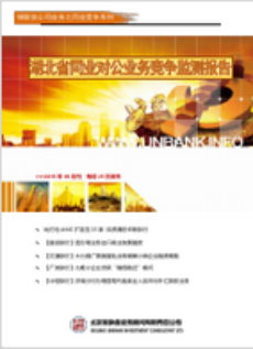 湖北省同业对公业务竞争监测报告
